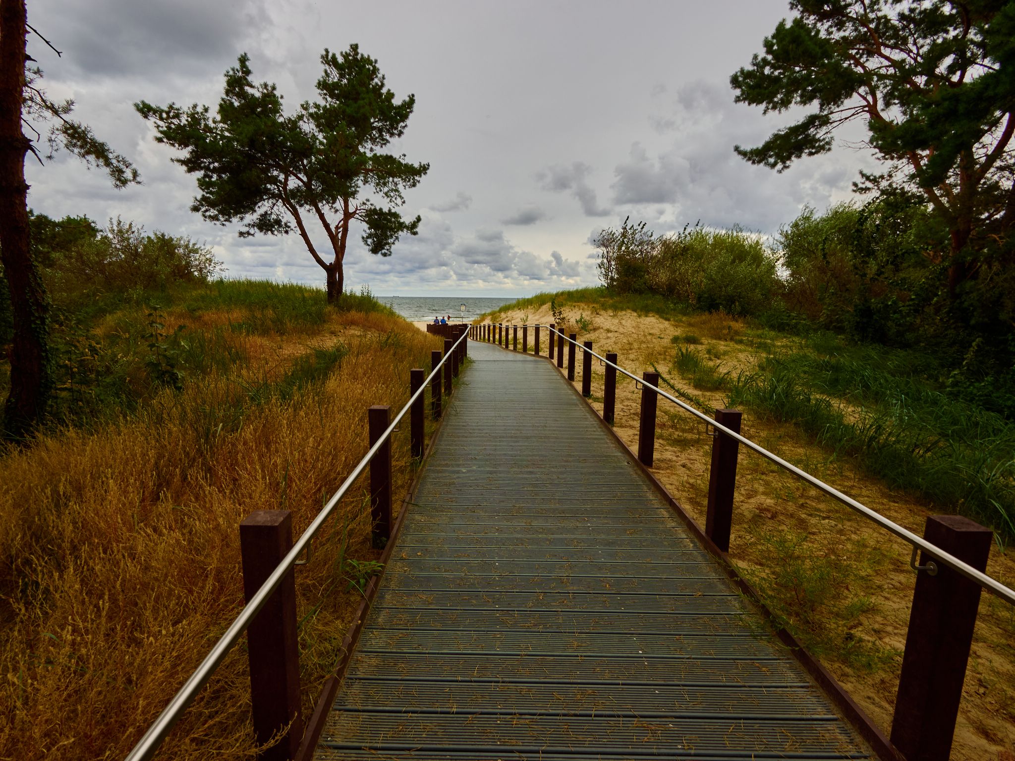 Landschaft 2024  1762 Usedom